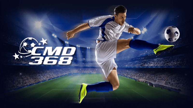 The most fair and clear international place for bettors